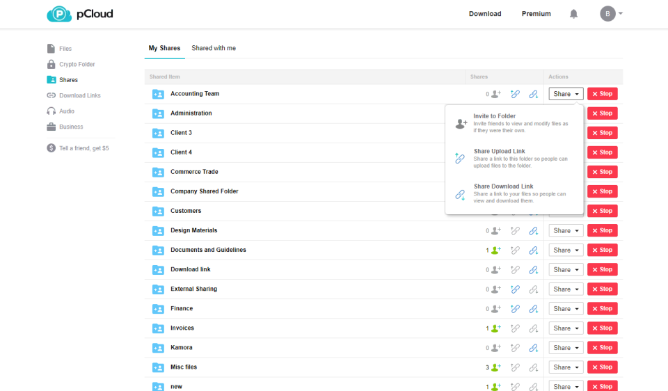 screenshot of pCloud Business